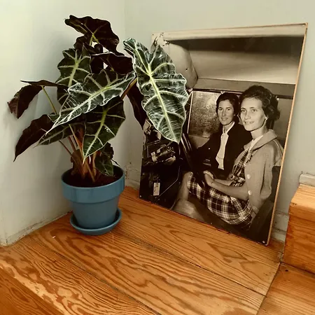 Auberge de jeunesse Goodnight Lisboa