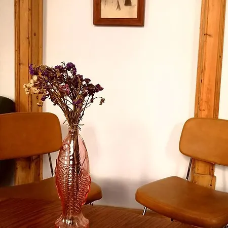 Goodnight Albergue