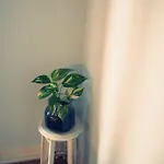 グッドナイト *