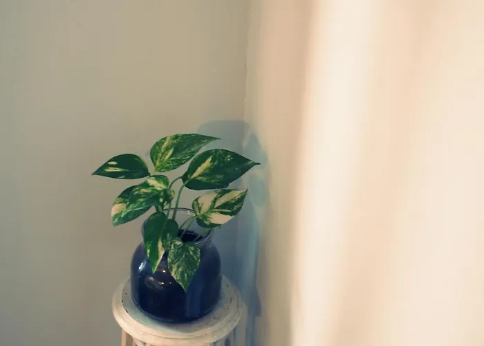 グッドナイト *